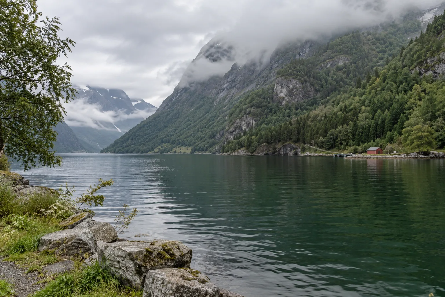 Een pad langs een fjord met beboste hellingen en laaghangende mist
