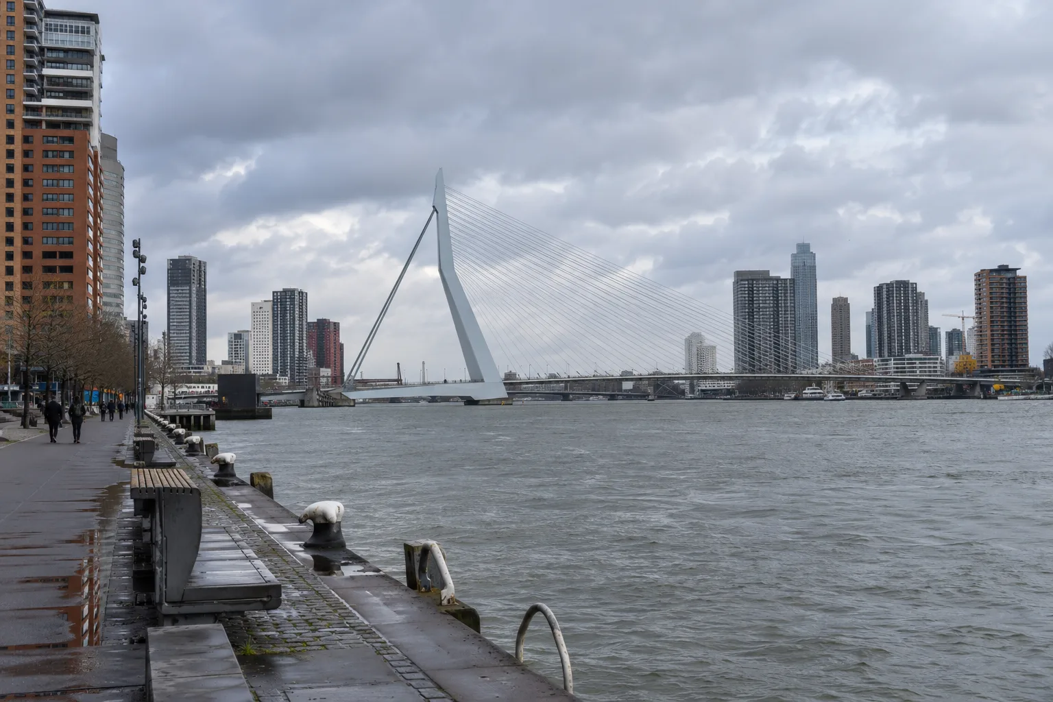 De Erasmusbrug en de Nieuwe Maas vanaf de Rotterdamse waterkant